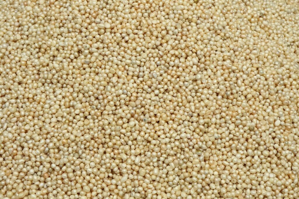 freshwater pearls, pearls, mother of pearl, freshwater pearls, freshwater pearls, pearls, pearls, pearls, pearls, pearls